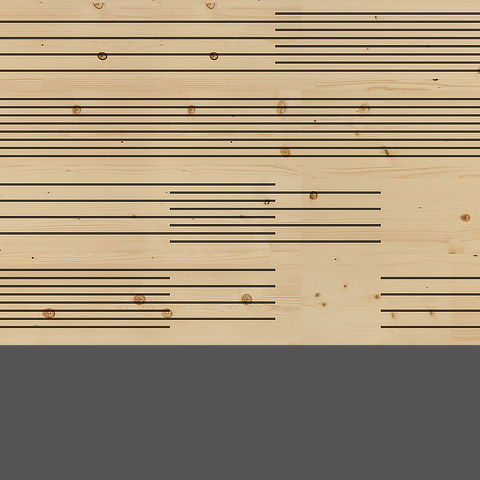 Variationen Akustik Typ 9.1 dyn.