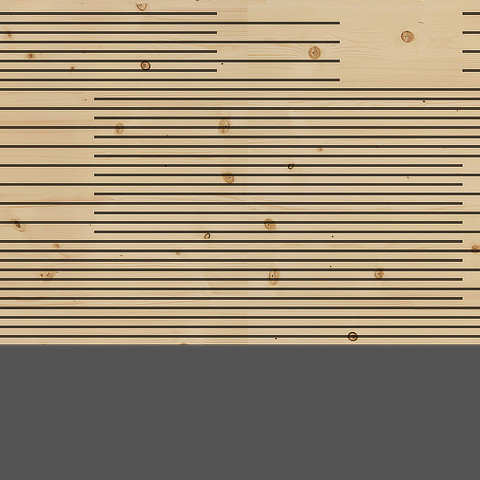 Variationen Akustik Typ 9 dyn.