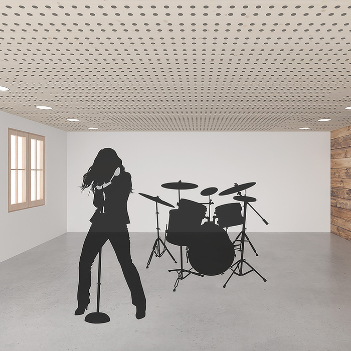 Variationen Akustik Typ 2 dyn. LKE