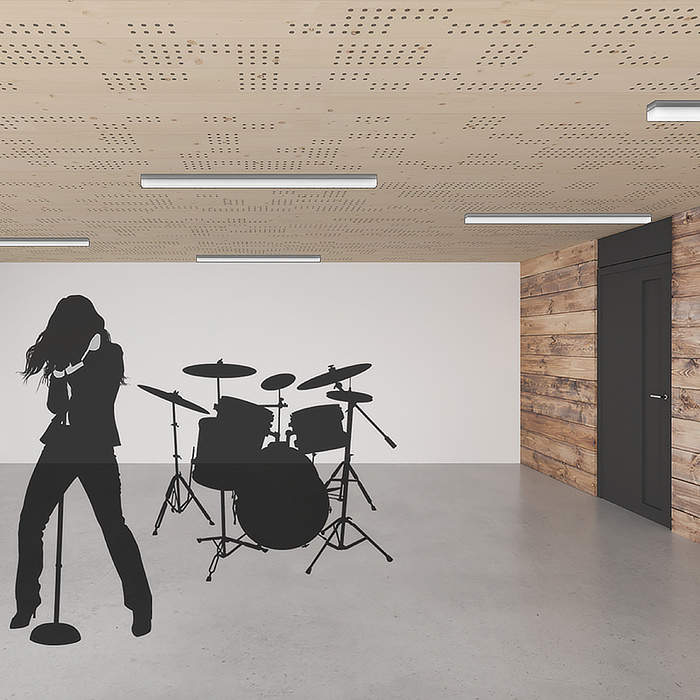 Variationen Akustik Typ 5 dyn. LKE