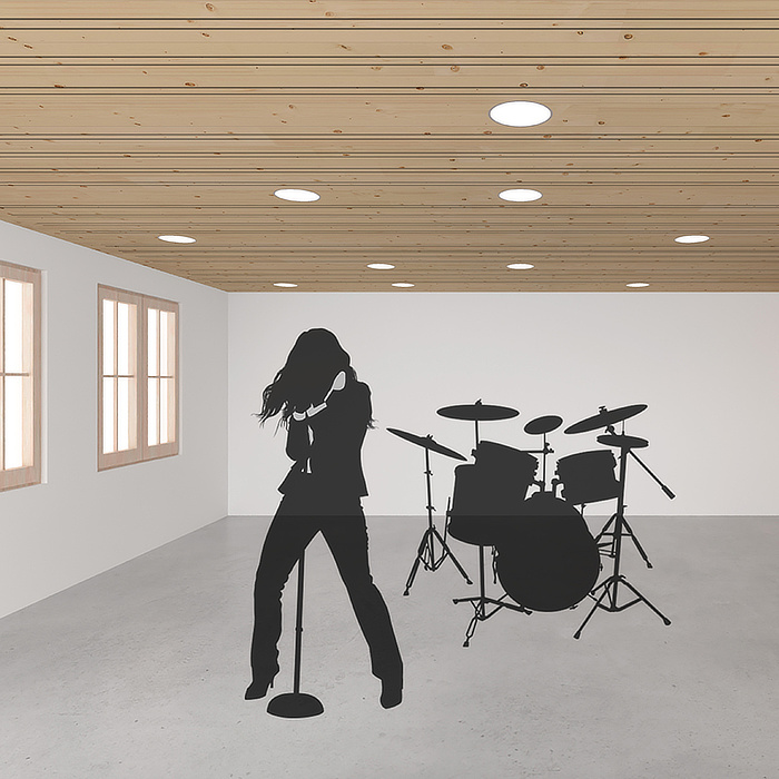 Variationen Akustik Typ 8.1 LKE