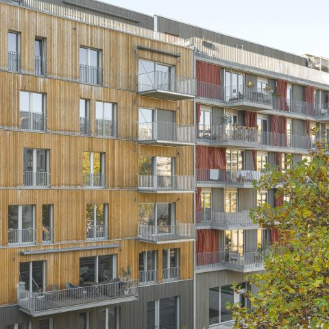 Holzhaus Linse
